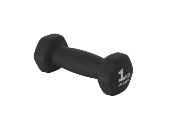 1 kg dumbbell set, ankle & wrist weights, resistance bands or ab roller