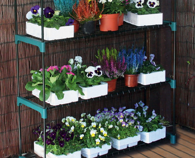 Greenhouse Staging