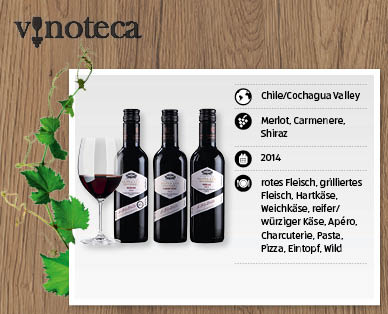 SANTA LUZ Rotwein Gran Reserva