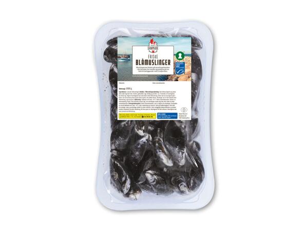 EN BID AF DANMARK Blåmuslinger