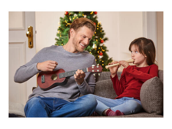 Soprano Recorder / Ukulele Set