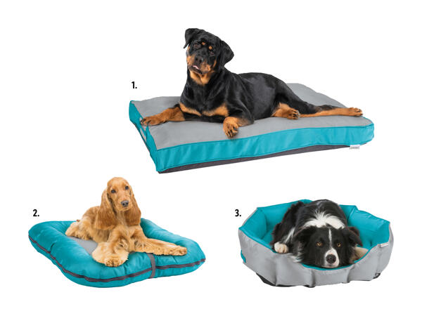 Panier pour chien extérieur
