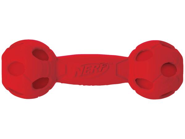 Nerf Dog Toy
