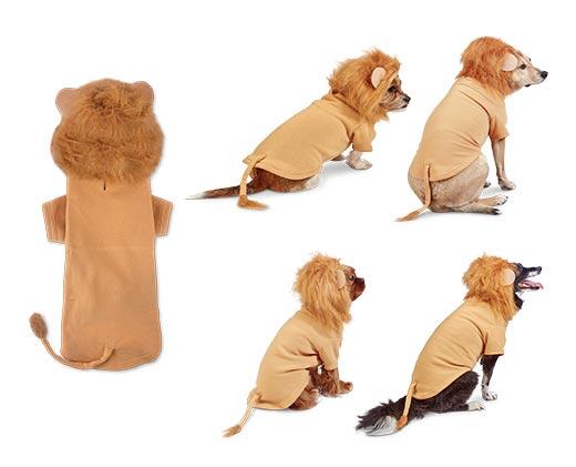 Heart to Tail 
 Pet Halloween Hoodie Costume
