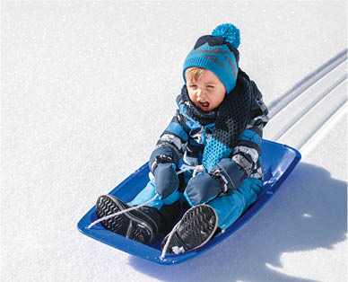 Snow Sled