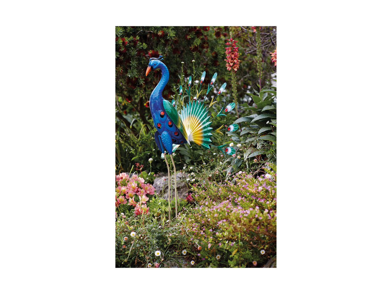 Melinera Decorative Bird1