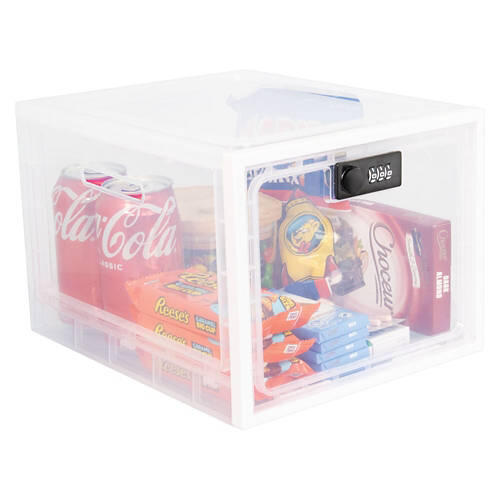 Fridge Storage Safe