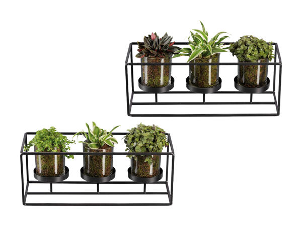 Plantes vertes dans un cadre métallique