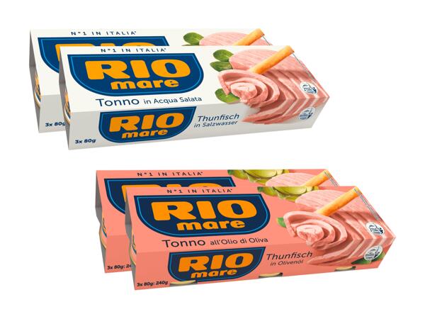 Thon, pack de 2