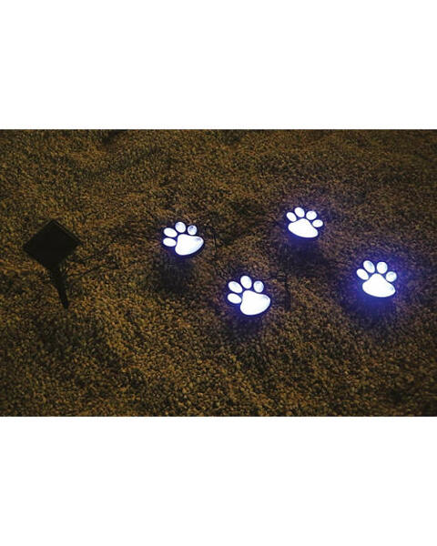 Paw Print Solar Path Lights
