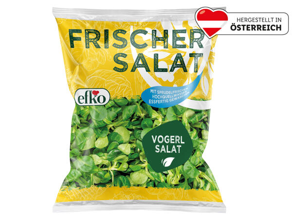 Efko Vogerlsalat