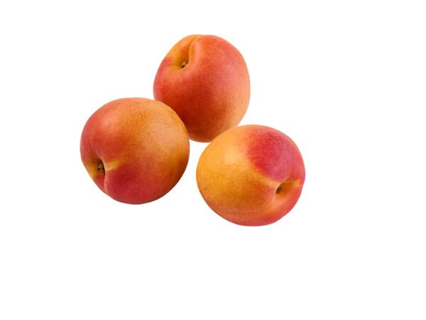 Apricots