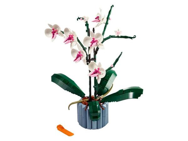 10311 Orchidej