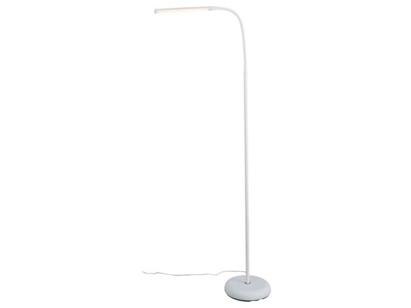 LED Floor Lamp