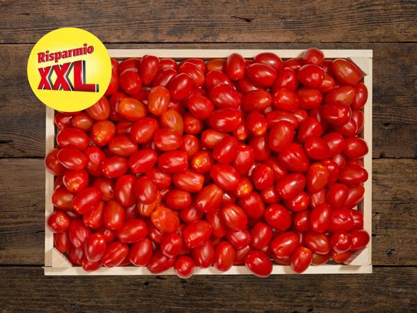 Pomodori dattero XXL