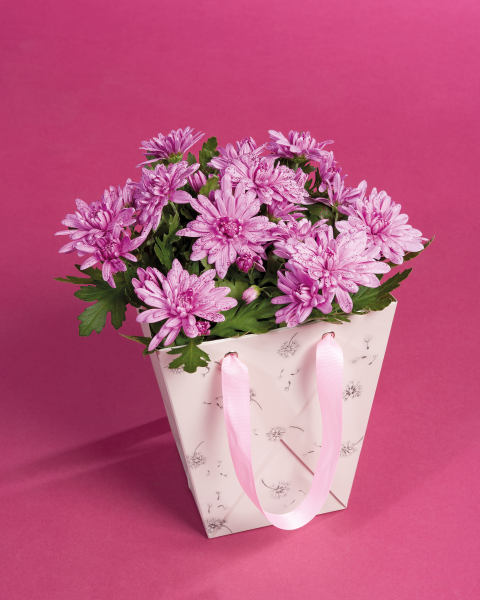 Glittered Pot Mum Gift Bag