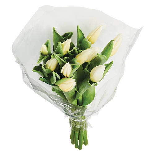 10 Stem Tulip Bouquet - Assorted Colors