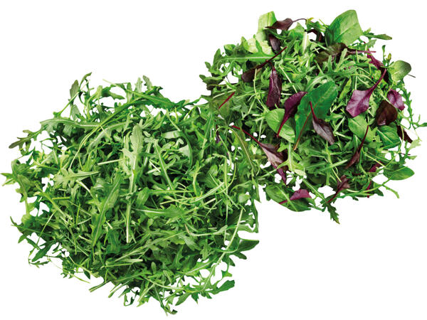 Salat