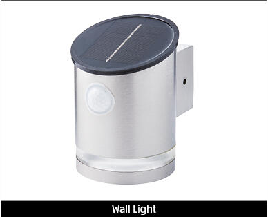 Solar Step or Wall Light