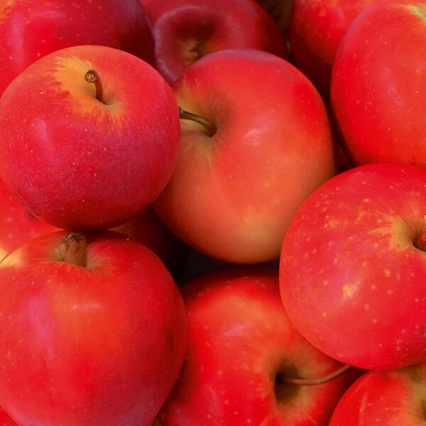 Rote Nikolaus-Äpfel
