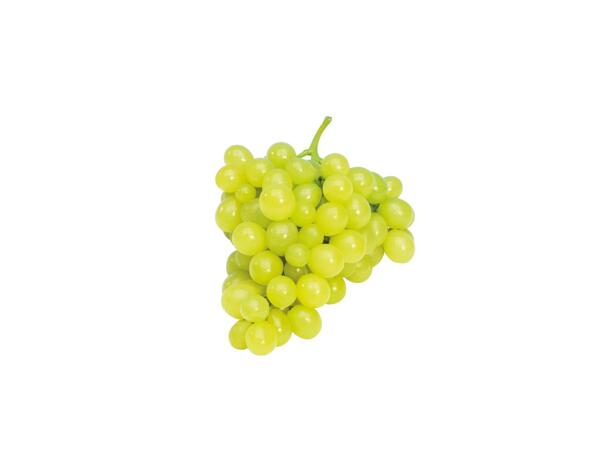 BÍLÉ HROZNY STOLNÍ BEZSEMENNÉ