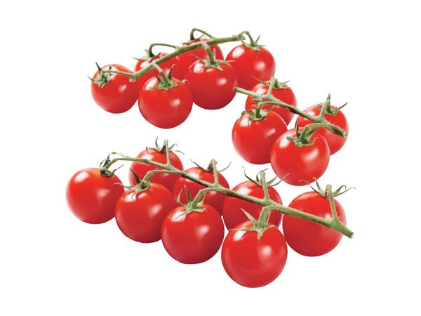 XXL Cherry Vine Tomatoes