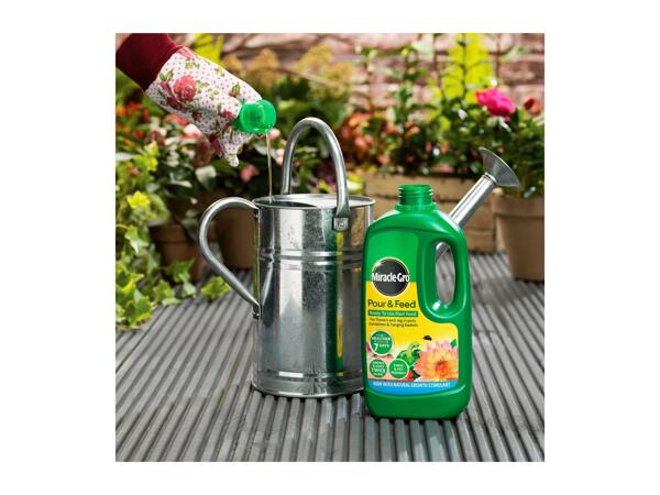 Miracle-Gro & Levington 1L Miracle-Gro Pour & Feed/ Tomorite