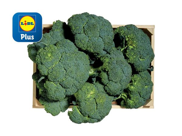 Brocoli