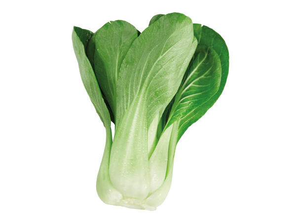 Pak Choi