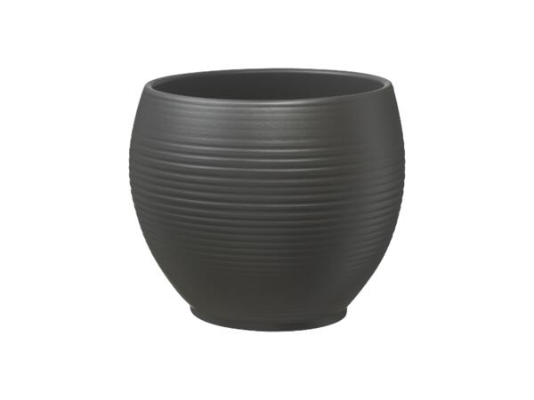 Purista Modern