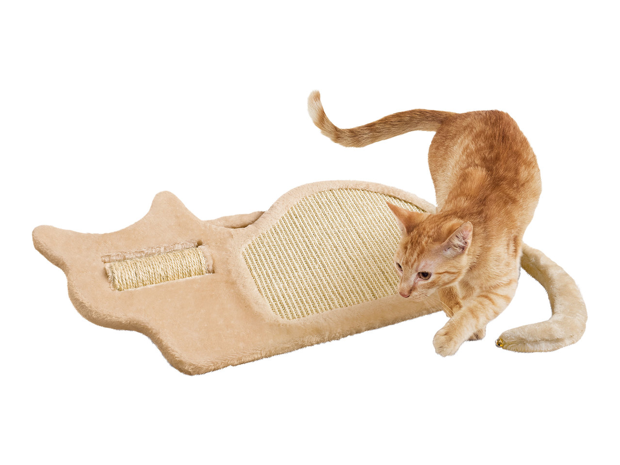 Zoofari Cat Scratcher1