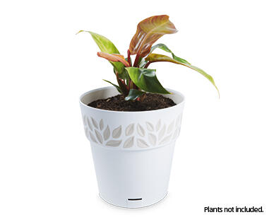 Opera 25cm Decorative Pot