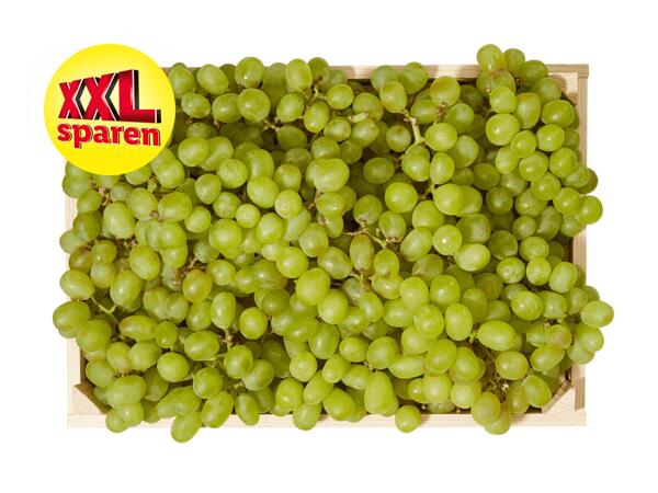 Helle Trauben XXL