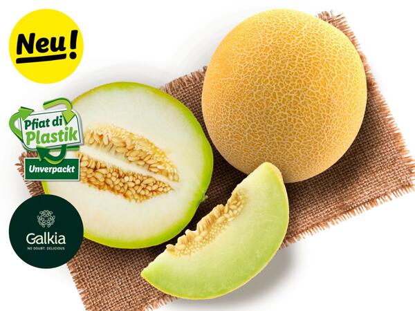 Zuckermelone Galkia