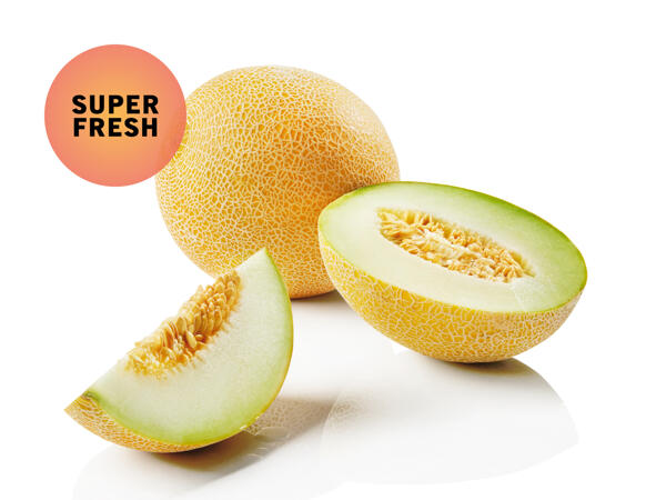 Melon Galia