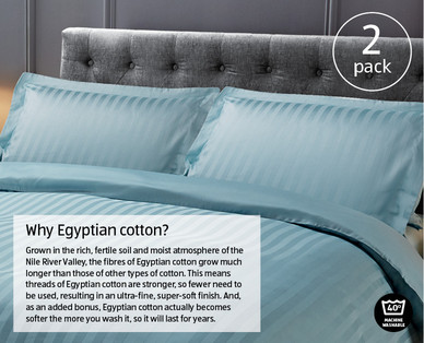 Egyptian Cotton Pillowcase Pair