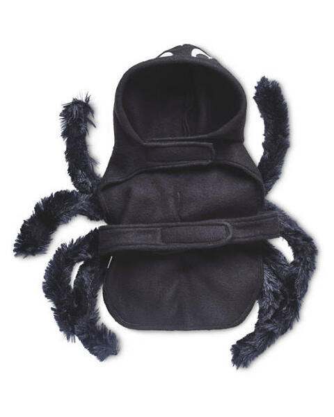 Halloween Pet Costume
