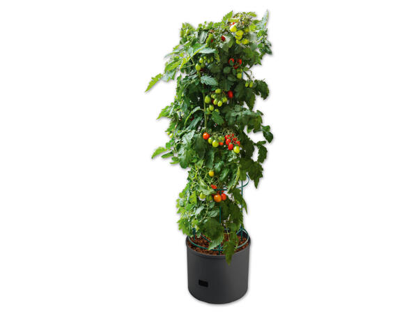 Tomaten-Pflanzgefäß