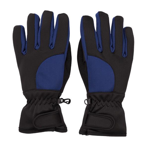 Vinter handsker