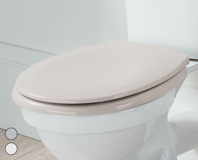 Toilet Seat