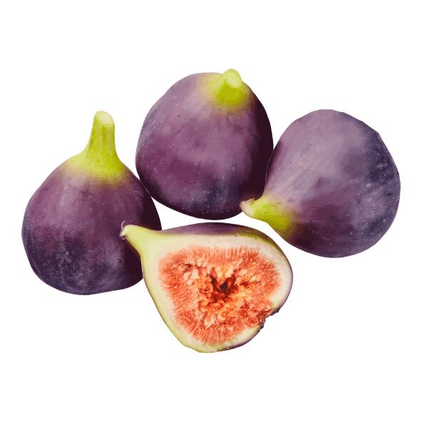 Figues sauvages