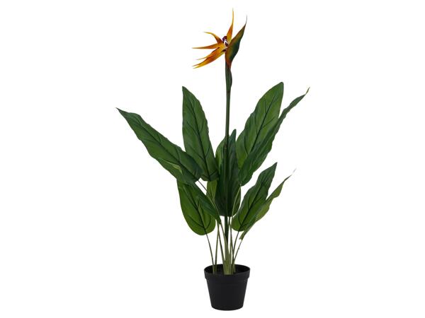 Artificial Plant