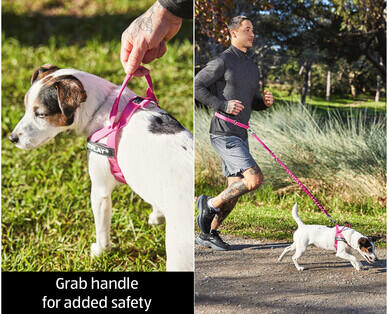 Extra Small or Small Dog Harness, Activity Lead or Rope Lead