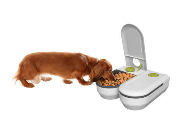 Zoofari Automatic Pet Feeder