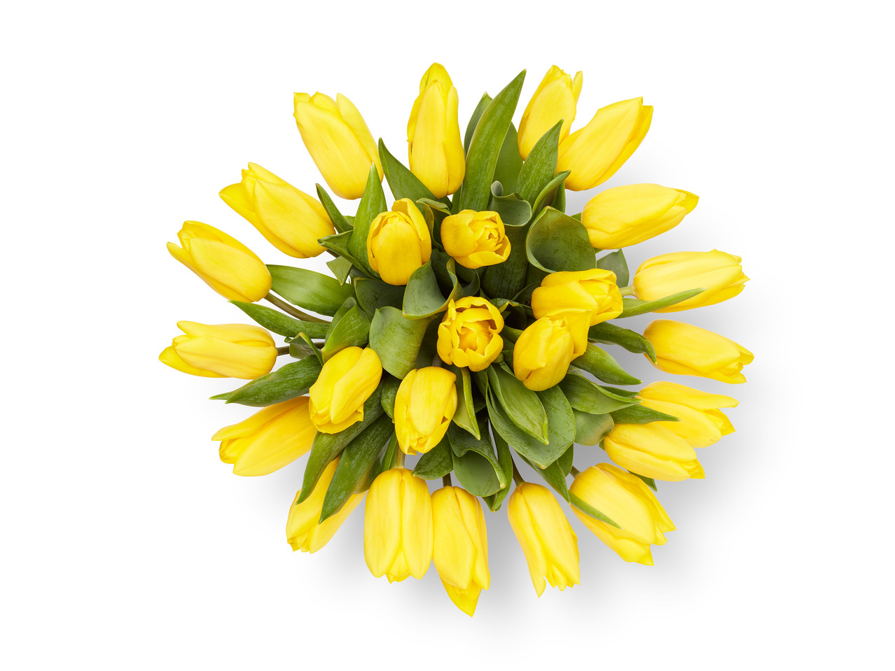Large Tulip Bouquet1