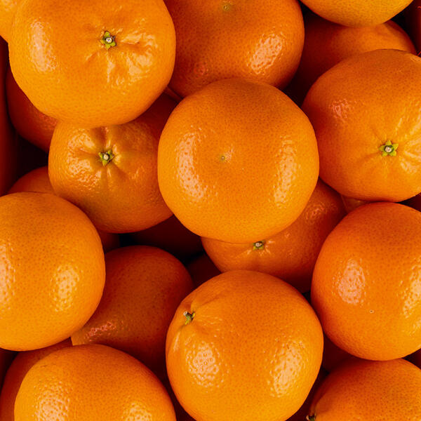 Mandarinen