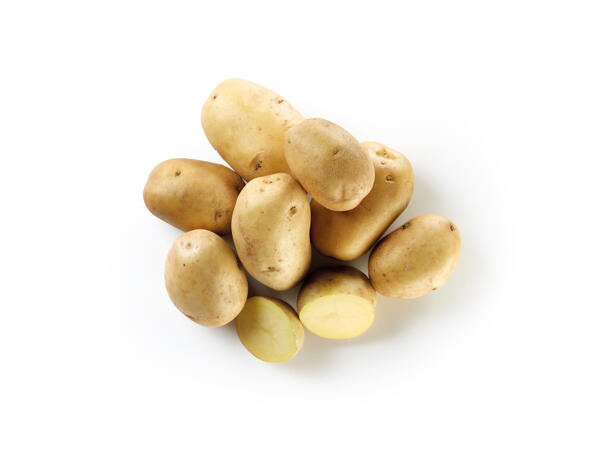 Bologna Potatoes PDO