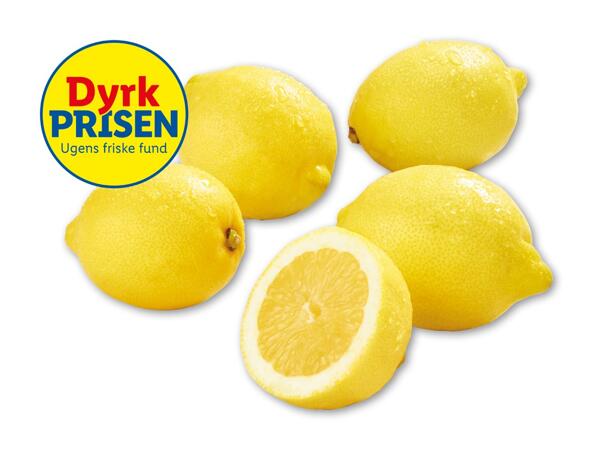 Citroner
