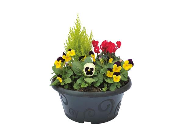 Medium Autumn Planter