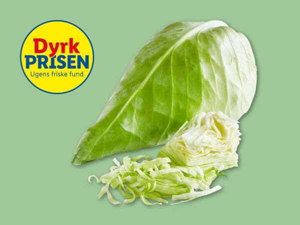 Dansk spidskål